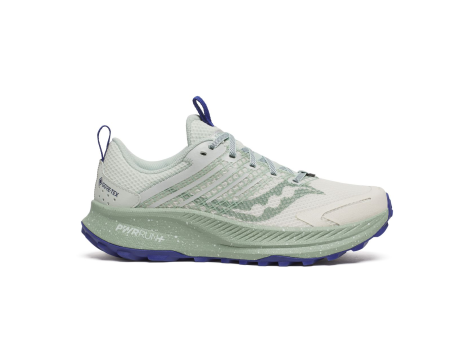 Saucony Ride TR2 GTX (S10953-260) bunt
