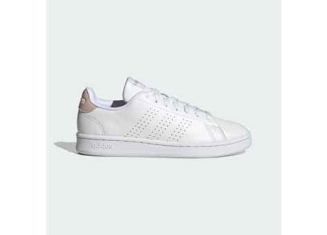 adidas Advantage (HR0319) weiss