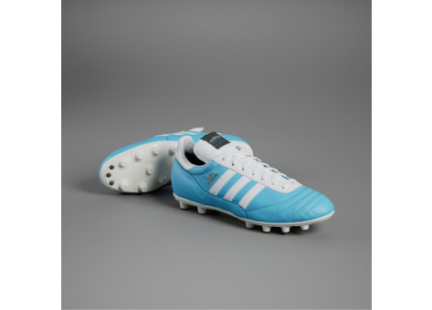 adidas Copa Mundial FG Argentina (IF9464) blau