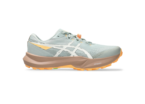 Asics Fuji Lite 6 (1012B865-300) bunt