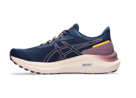 Asics GT 1000 13 TR blau 1012B747.700 Preisvergleich