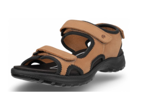 Ecco Sandale Hike (221203-02291) braun