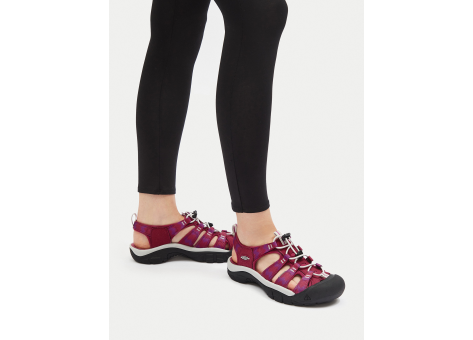 Keen Newport H2 (1030547) lila