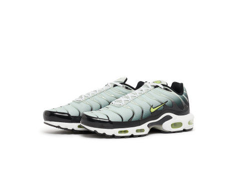 Nike Air Max Plus (DM0032-006) bunt