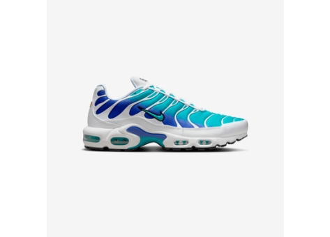 Air max plus blue and white online