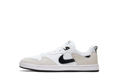Nike Alleyoop SB (CJ0882-100) bunt