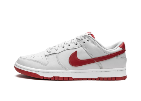 Nike Dunk Low Vast Grey Varsity (FJ0832-011) weiss