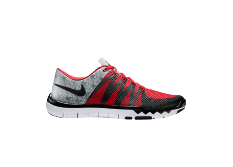 Nike Free Trainer 5.0 V6 (723939 006) bunt