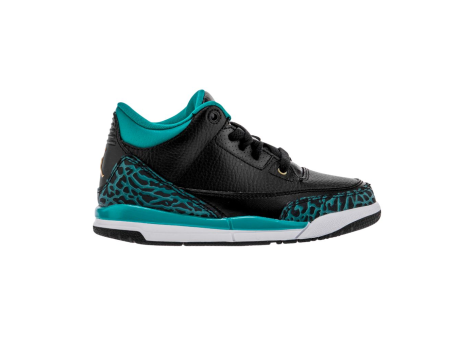 Jordan 3 Retro GP (441141-018) bunt