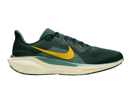 Nike Pegasus 41 (FD2722-301) grün