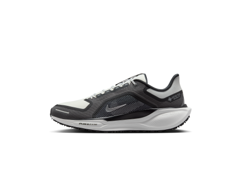 Nike Pegasus 41 GORE TEX GTX Air Zoom (FQ1356-002) bunt