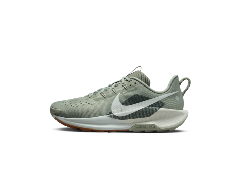 Nike Pegasus 5 Trail (DV3864-304) grün