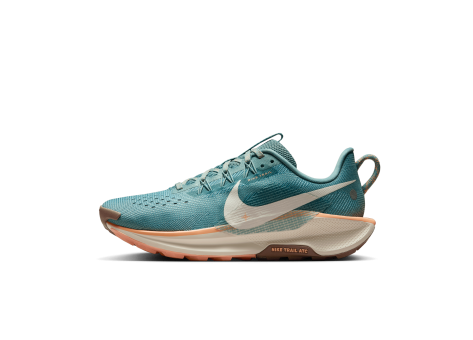 Nike Pegasus Trail 5 (DV3865-010) türkis
