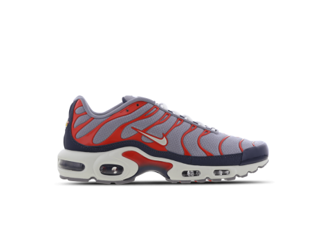 Nike Air Max Plus USA Grey (DB0682-003) bunt