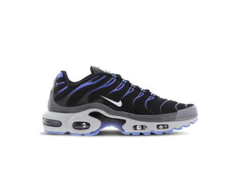 Nike Air Max Plus Royal Grey (DH4776-003) bunt