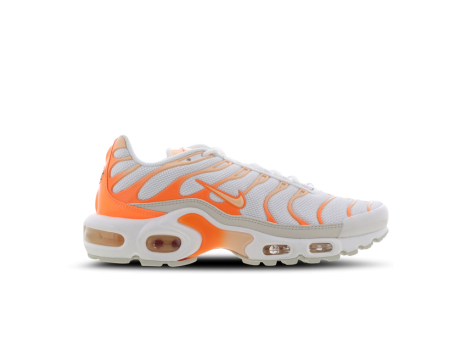 Nike Air Max Plus Atomic (DM3033-100) bunt