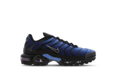 Nike Air Max Plus (DV3493-001) blau