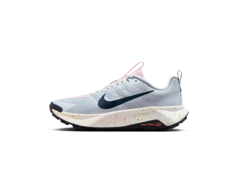 Nike Wildhorse 10 (FV2338-004) grau