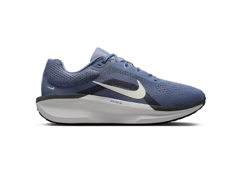 Nike Winflo 11 (FJ9509-405) blau