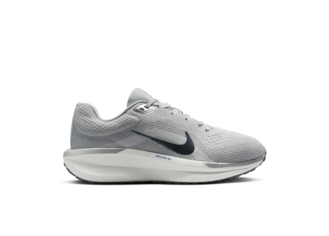 Nike Winflo 11 (FJ9510-005) grau