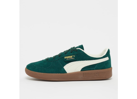 PUMA Palermo (396463_61) grün