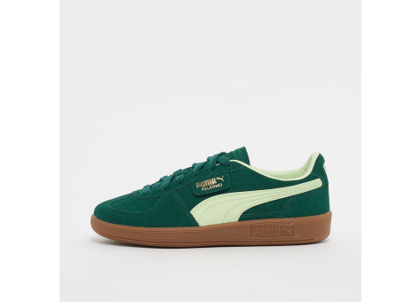 PUMA Palermo Jr (397271/013) grün