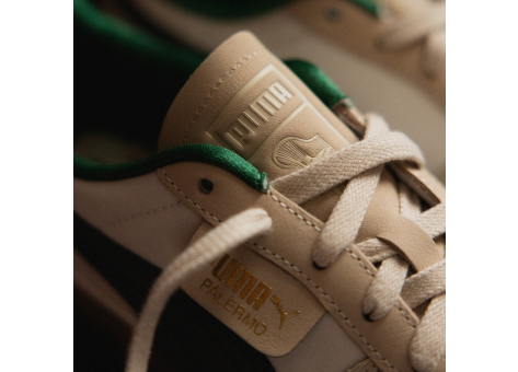 PUMA Asphaltgold x PUMA Palermo Sedia (398772-01) bunt