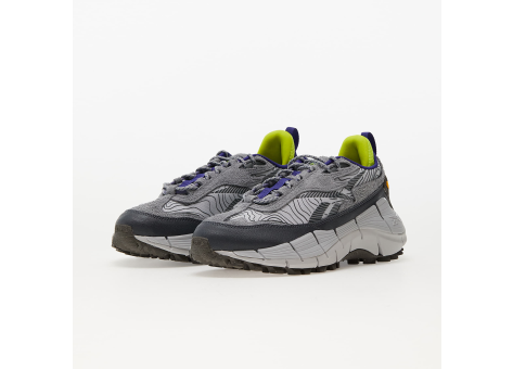 Reebok Zig Kinetica 2.5 Edge (GX6832) grau