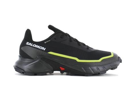 Salomon ALPHACROSS 5 GTX (474604) schwarz