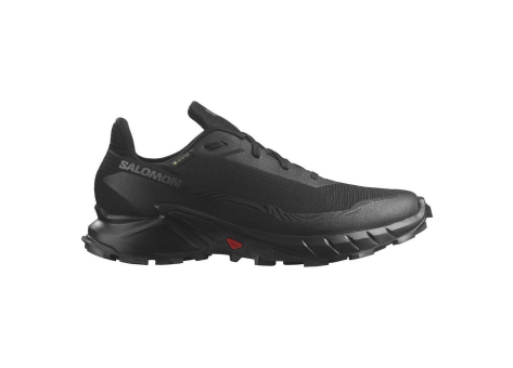 Salomon Alphacross 5 GTX (L47310900) schwarz