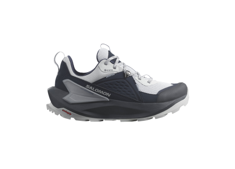 Salomon Elixir GORE TEX (L47296300) grau