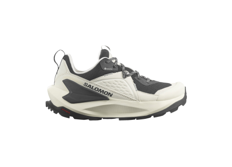 Salomon Elixir GORE TEX (L47296700) weiss