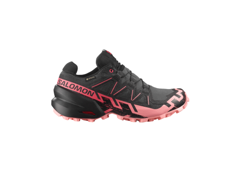 Salomon Speedcross 6 GTX (L47880400) bunt