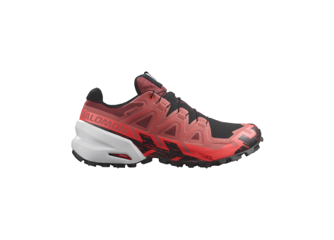 Salomon Spikecross 6 GORE TEX GTX (L47270700) bunt