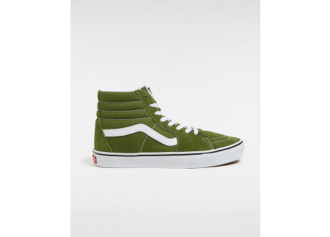 Vans Sk8 Hi Color Therory Pesto (VN000CMXCIB) grün