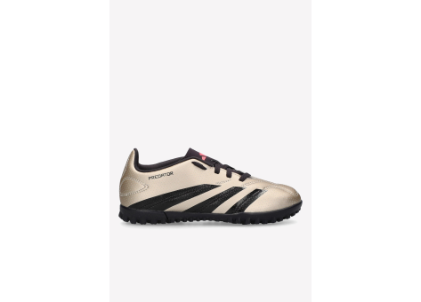 adidas Predator Club TF (IF6420) beige