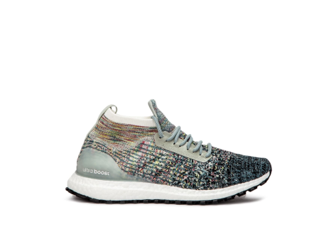 adidas UltraBoost All Terrain LTD (CM8254) bunt