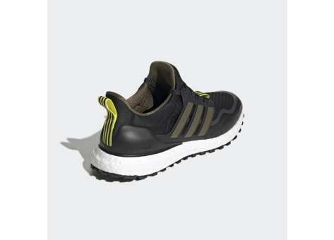 adidas UltraBoost Cold.RDY C.RDY DNA (G54966) bunt