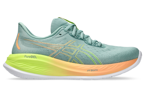 Asics fluidride mens online