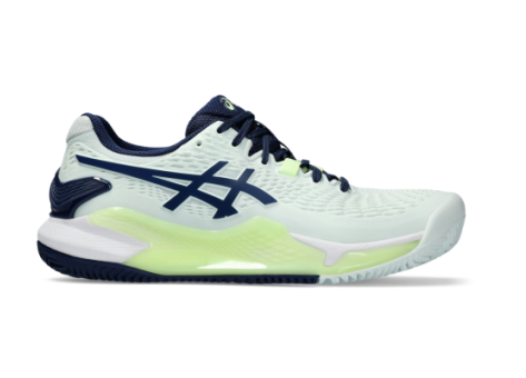 Asics GEL RESOLUTION 9 CLAY blau 1042A224.301 Preisvergleich