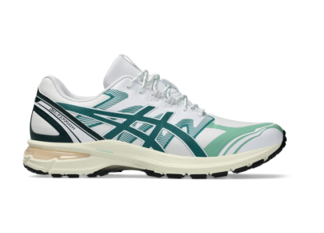 Asics Gel Terrain (1203A342.101) bunt