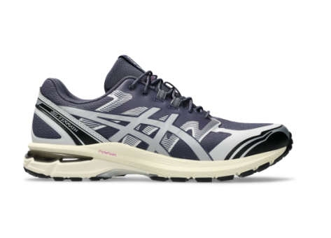 Asics Gel Terrain (1203A342-501) grau
