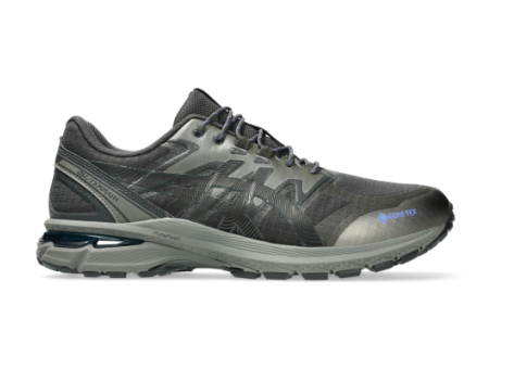 Asics GEL Terrain GTX (1203A457.020) grau