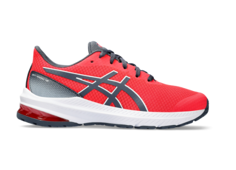 Asics GT 1000 12 GS (1014A296.700) rot