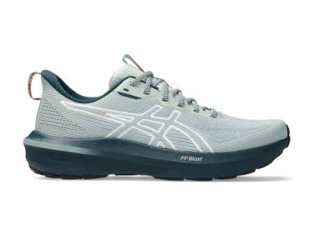 Asics GT 1000 14 TR (1011C131-300) bunt