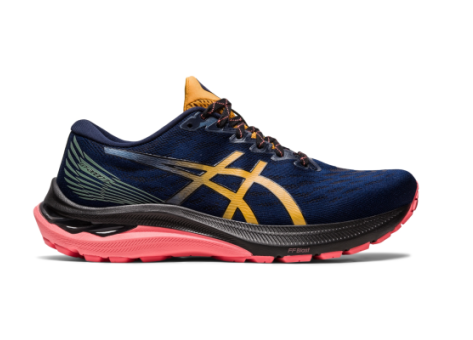 Asics GT 2000 11 TR (1012B389-700) blau