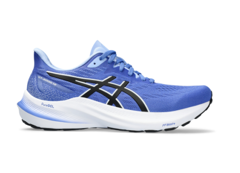 Asics GT 2000 12 (1012B506.400) blau