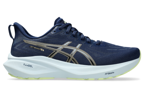 Asics GT 2000 13 (1012B666.400) blau