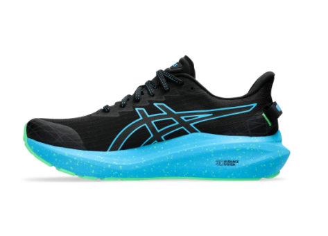 Asics GT 2000 13 Lite Show schwarz 1011B953 001 Preisvergleich