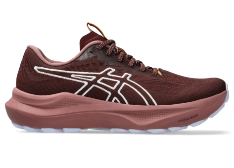 Asics GT 2000 14 TR (1012B902-600) braun
